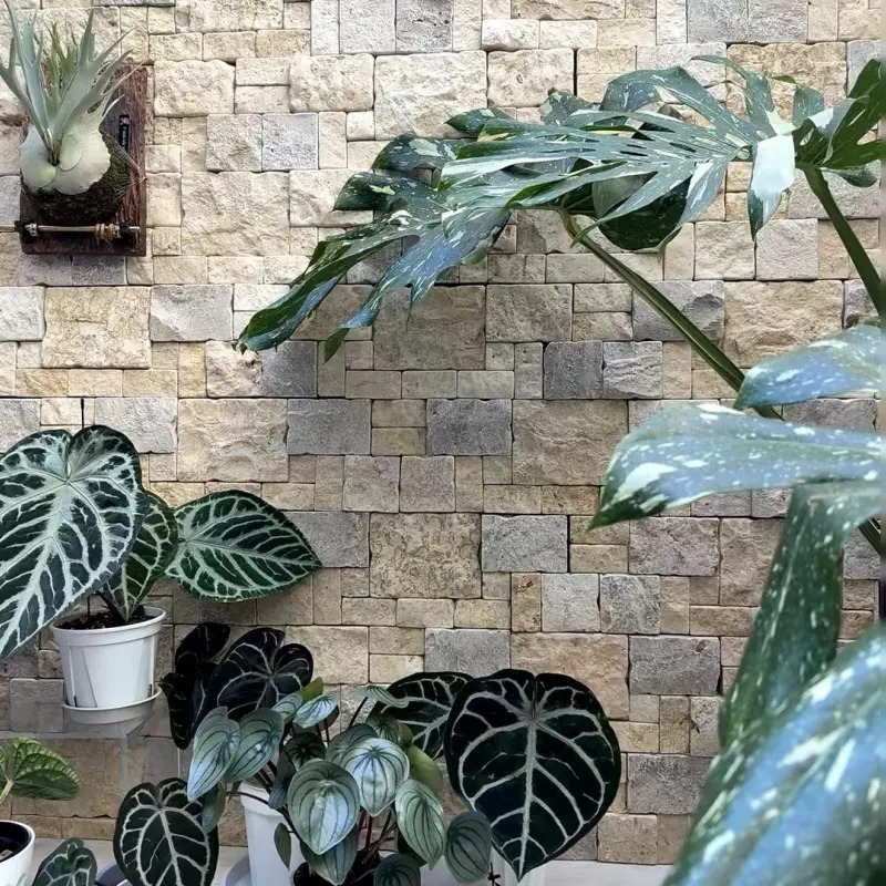 Warm golden cream pre-assembled natural limestone stacked stone panels 20×60cm, antiqued ledger stone veneer for interior and exterior wall cladding