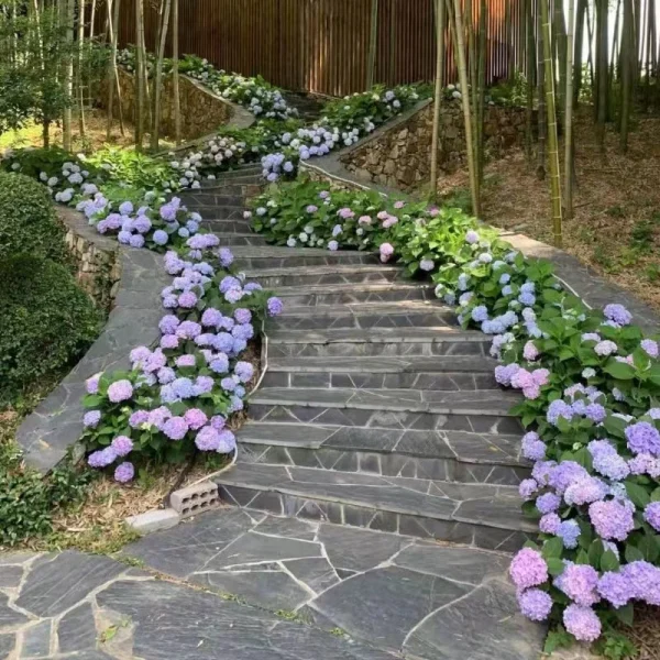 Charcoal Grey Crazy Paving Stone for Patio & Garden Villa Landscaping