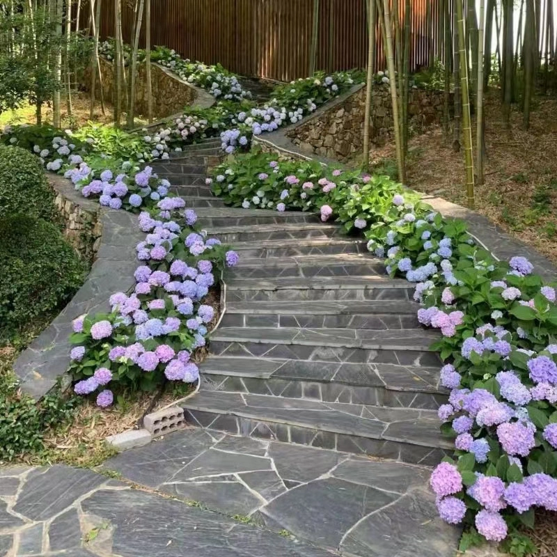 Charcoal grey crazy paving stone for garden steps and pathway landscaping