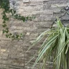 Green Quartzite Ledger Stone – Natural Green Texture for Architectural Walls