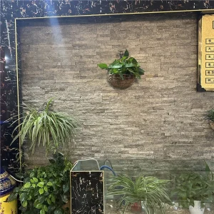 Green Quartzite Ledger Stone interior feature wall with potted plants
