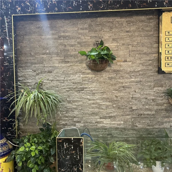 Green Quartzite Ledger Stone interior feature wall with potted plants