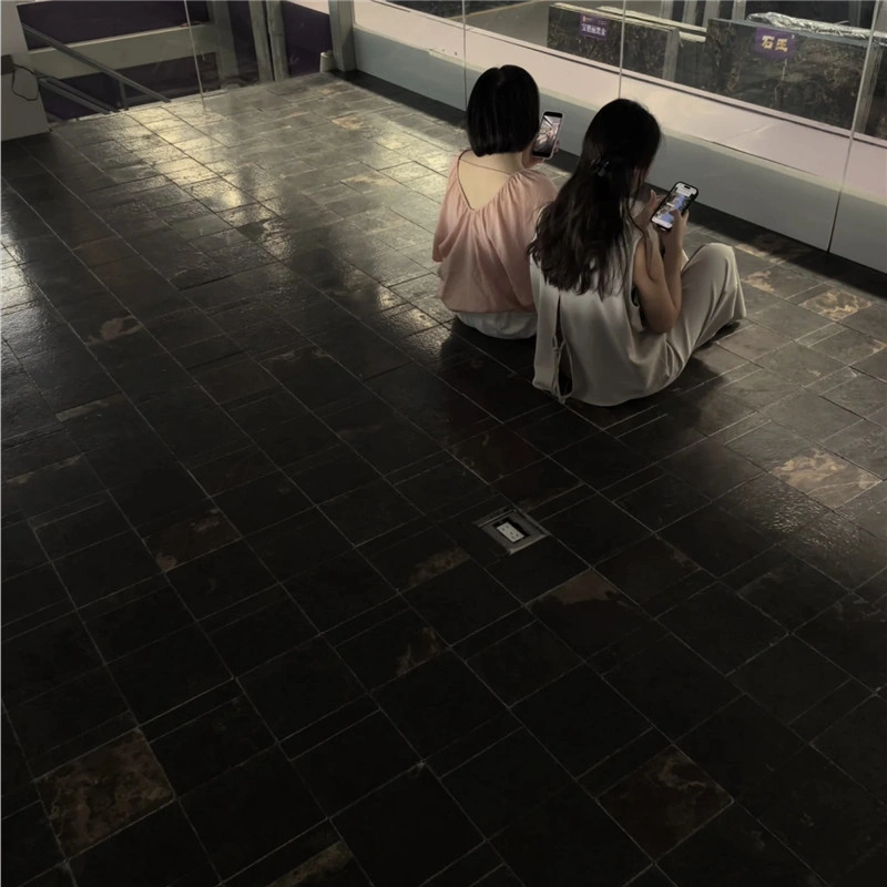 Black Limestone with Gold Veining, large‑area natural limestone indoor flooring