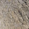 Light Yellow Random Rubble Stone for House Facades, Garden Walls and Landscape Design