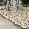 mmexport1774249001836_edit_106797937583182 Yellow Limestone Crazy Paving for Patios, Villas & Landscape Projects