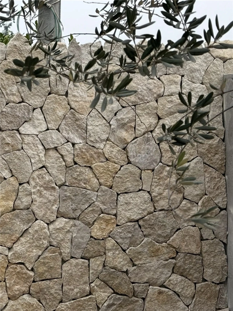 Rustic Yellow Crazy Paving Stone garden feature wall with olive tree foliage